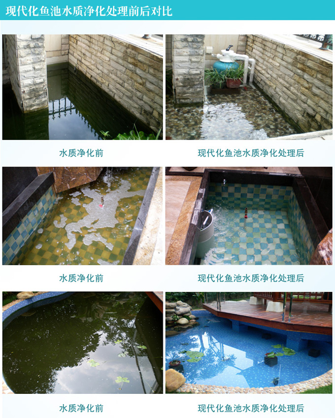 安裝循環系統的魚池水質清澈
